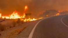 Imágenes del incendio en Los Gallardos (Almería) | INFOCA Andalucía. Tomado de vozpópuli