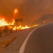 Imágenes del incendio en Los Gallardos (Almería) | INFOCA Andalucía. Tomado de vozpópuli Imágenes del incendio en Los Gallardos (Almería) | INFOCA Andalucía. Tomado de vozpópuli